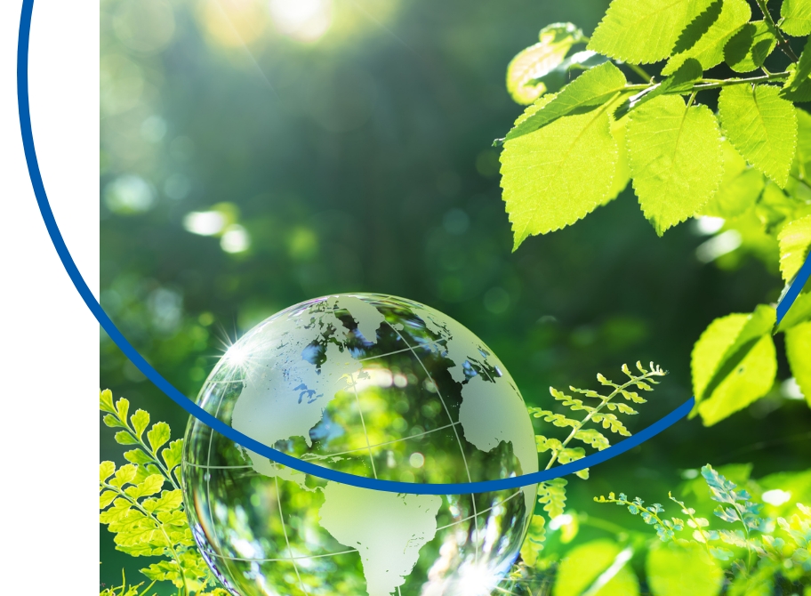 Sustainability in Action